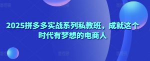 2025拼多多实战系列私教班，成就这个时代有梦想的电商人-淘金日记