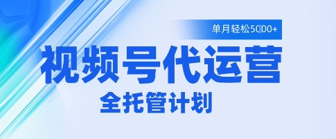 视频号代运营2.0,全程托管招募,单月轻松变现5k【揭秘】-淘金日记