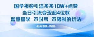 国学视频引流条条10W+点赞当日引流变现超4位数-淘金日记