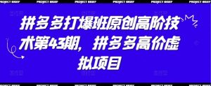 拼多多打爆班原创高阶技术第43期,拼多多高价虚拟项目-淘金日记