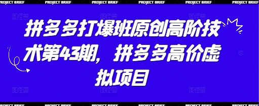 拼多多打爆班原创高阶技术第43期,拼多多高价虚拟项目-淘金日记