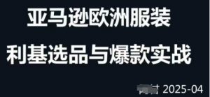 跨境电商选品案例24-25年，聚焦跨境电商选品策略与运营优化，助力卖家挖掘蓝海市场-淘金日记