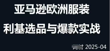 跨境电商选品案例24-25年,聚焦跨境电商选品策略与运营优化,助力卖家挖掘蓝海市场-淘金日记