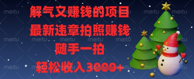 解气又挣钱的项目,最新违章拍照挣钱,随手一拍,轻松收入数张【揭秘】-淘金日记