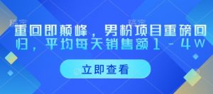 重回即颠峰,男粉项目重磅回归,平均每天销售额1-4W-淘金日记