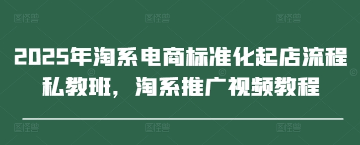 2025年淘系电商标准化起店流程私教班,淘系推广视频教程-淘金日记