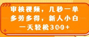 视频审核员,几秒一单,不限时间,不限地点,多做多得,新人小白一天轻松几张+【揭秘】-淘金日记