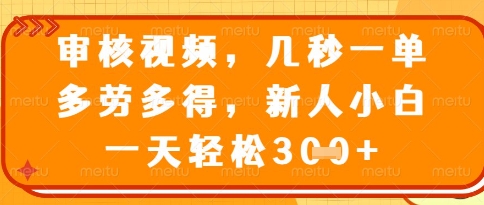 视频审核员，几秒一单，不限时间，不限地点，多做多得，新人小白一天轻松几张+【揭秘】-淘金日记