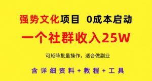 强势文化项目，一个社群收入25个W，0成本启动，可矩阵批量操作，原创详细实操教程-淘金日记