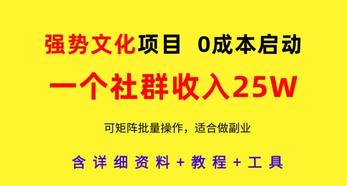 强势文化项目,一个社群收入25个W,0成本启动,可矩阵批量操作,原创详细实操教程-淘金日记