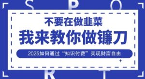 韭菜生涯终结者,我来教你做镰刀,2025如何通过“知识付费”实现财F自由【揭秘】-淘金日记