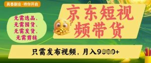 京东短视频带货,开启零门槛躺Z新时代【揭秘】-淘金日记