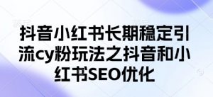 抖音小红书长期稳定引流cy粉玩法之抖音和小红书SEO优化-淘金日记