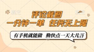 评论截图，0.5元一单，一分钟一单，有手机就能做，任务无上限，勤快点一天几张【揭秘】-淘金日记