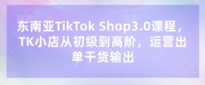 东南亚TikTok Shop3.0课程，TK小店​从初级到高阶，运营出单干货输出-淘金日记