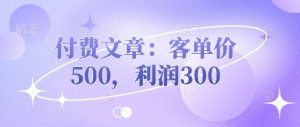 付费文章：客单价500，利润300-淘金日记