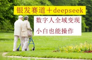 银发赛道+deepseek数字人全域变现,小白也能操作-淘金日记