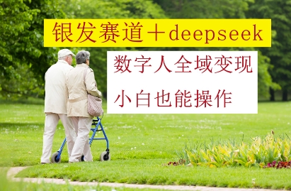 银发赛道+deepseek数字人全域变现,小白也能操作-淘金日记