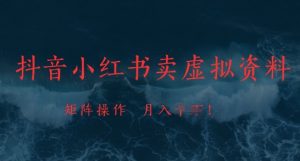 抖音小红书卖虚拟资料,市场需求一直存在,矩阵操作,月入1w+-淘金日记