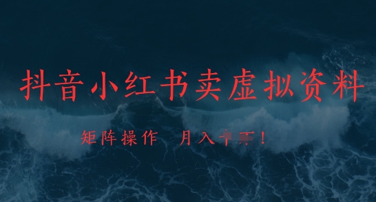 抖音小红书卖虚拟资料,市场需求一直存在,矩阵操作,月入1w+-淘金日记