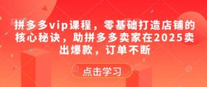 拼多多vip课程,零基础打造店铺的核心秘诀,助拼多多卖家在2025卖出爆款,订单不断-淘金日记