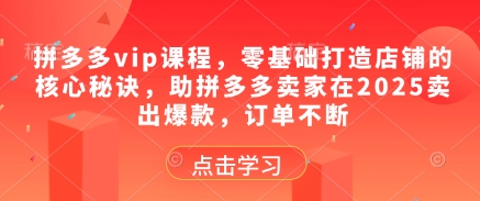 拼多多vip课程,零基础打造店铺的核心秘诀,助拼多多卖家在2025卖出爆款,订单不断-淘金日记
