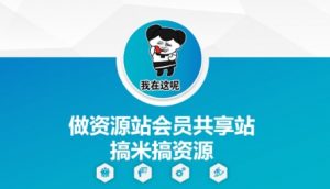 做资源站会员共享站搞米搞资源-淘金日记