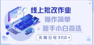 线上批改作业,操作简单新手小白首选,无脑日收300+【揭秘】-淘金日记