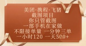 飞猪美团截图项目，你只管截图，一部手机在家做，正规平台无套路，一天5张+【揭秘】-淘金日记
