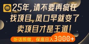 什么?25年你还在疯狂找项目做,醒醒吧,看完这些你全都懂了【揭秘】-淘金日记