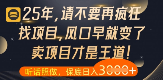 什么?25年你还在疯狂找项目做,醒醒吧,看完这些你全都懂了【揭秘】-淘金日记