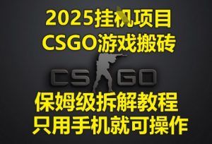 2025挂G项目，CSGO游戏搬砖，保姆级拆解教程，只用手机就可操作【揭秘】-淘金日记