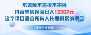 不露脸不直播不拍摄抖音单条视频日入1k+这个项目适合所有人长期积累的项目-淘金日记