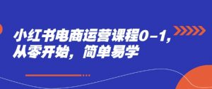 小红书电商运营课程0-1，从零开始，简单易学-淘金日记