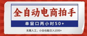全自动电商拍手,单窗口两小时50+,无需人工,小白也能日入1k+【揭秘】-淘金日记