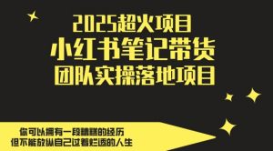 2025超火项目，副业最佳选择，小红书笔记带货团队实操落地项目，，轻松日入5张-淘金日记