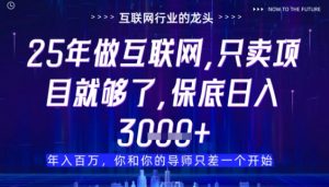 什么!25年你还在找项目做?风口早就变了,卖项目才是稳挣不赔【揭秘】-淘金日记