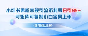 小红书男粉常规引流不封号日引99+变现简单 可矩阵可复制小白容易上手-淘金日记
