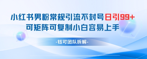 小红书男粉常规引流不封号日引99+变现简单 可矩阵可复制小白容易上手-淘金日记