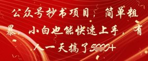 公众号抄书项目,简单粗暴,小白也能快速上手,有人一天搞了1k+-淘金日记