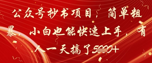 公众号抄书项目,简单粗暴,小白也能快速上手,有人一天搞了1k+-淘金日记