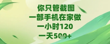 你只管截图,一部手机在家做,苹果安卓都可以,一天5张+【揭秘】-淘金日记