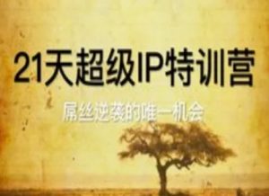 21天超级IP特训营,屌丝逆袭的唯一机会-淘金日记