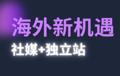 2025出海新机遇(社媒+独立站)，海外新机遇，实现独立站的高效运营与出海-淘金日记