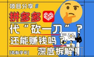 【2025最新】拼多多代坎助力项目深度拆解:还能挣钱吗?全流程玩法-淘金日记