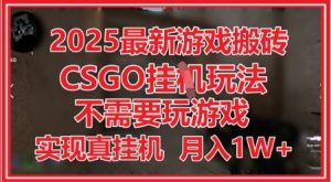 2025最新游戏搬砖,CSGO挂G,不需要玩游戏,实现真挂G,月入1W+【揭秘】-淘金日记