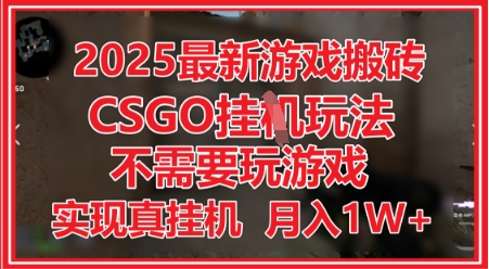 2025最新游戏搬砖，CSGO挂G，不需要玩游戏，实现真挂G，月入1W+【揭秘】-淘金日记