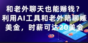 和老外聊天也能挣钱？利用AI工具和老外陪聊挣美金，时薪可达20刀-淘金日记