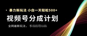 视频号分成计划,全网最暴力玩法,新手一天也能轻松5张+-淘金日记