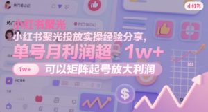小红书聚光投放实操经验分享,单号月利润超1w+,可以矩阵起号放大利润-淘金日记